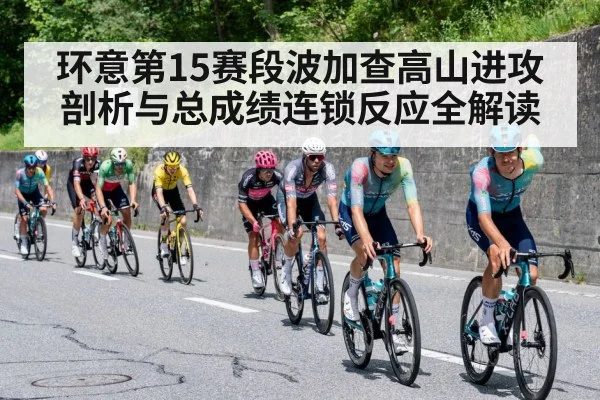professional cyclists mountain road（kaiyun）